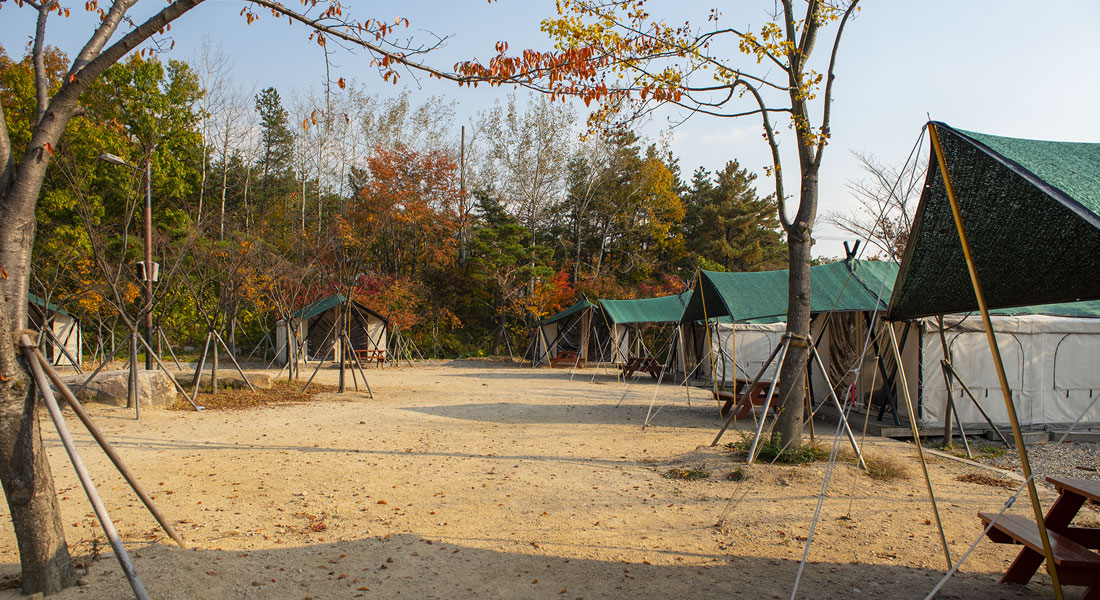 김해 가야랜드달빛야영장 소개