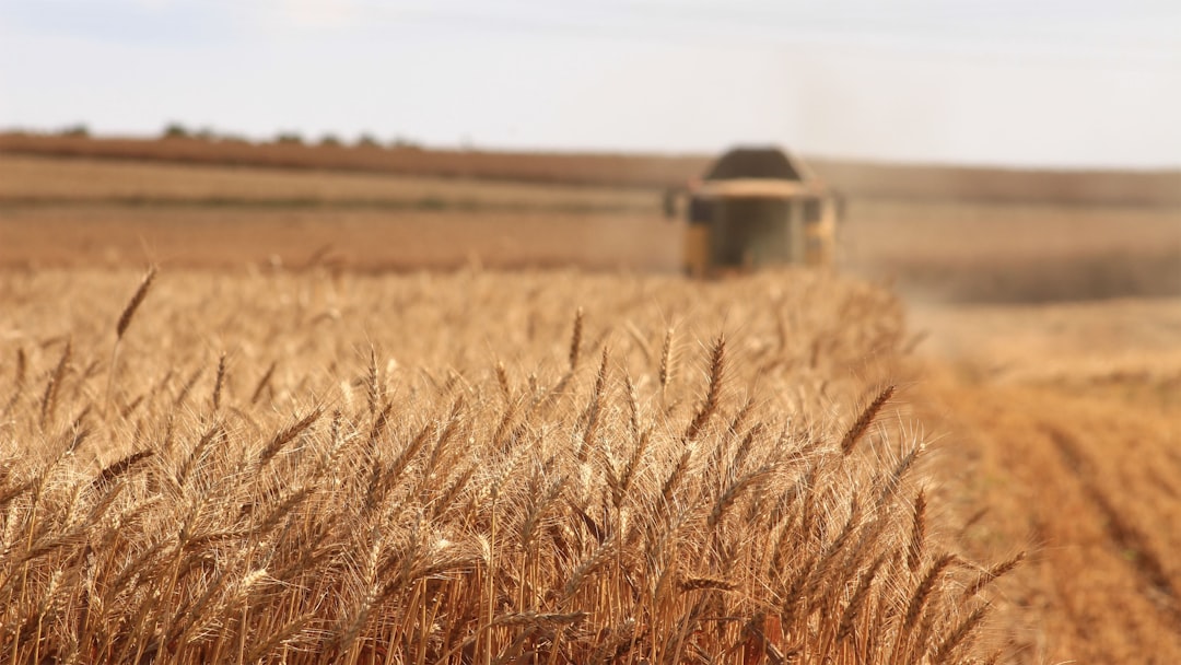 Agriculture