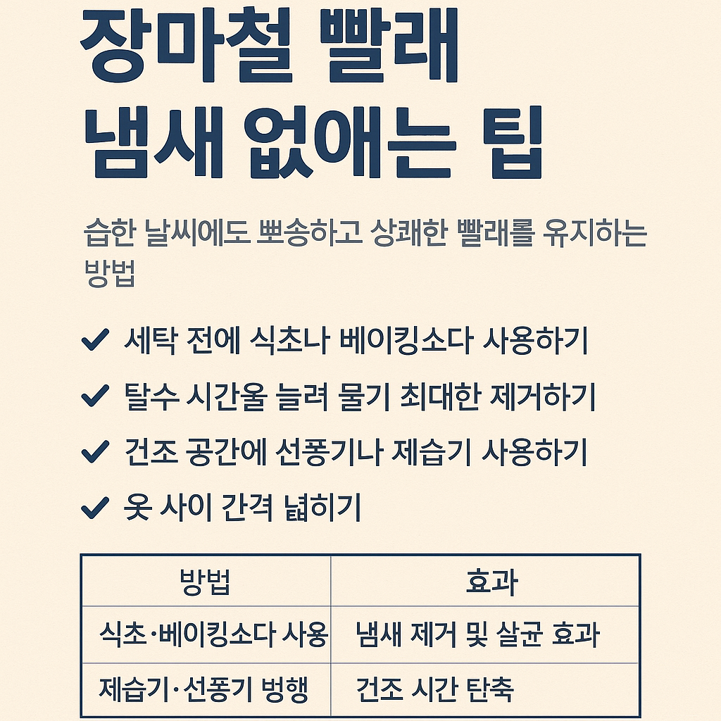 장마철 빨래 냄새 없애는 팁