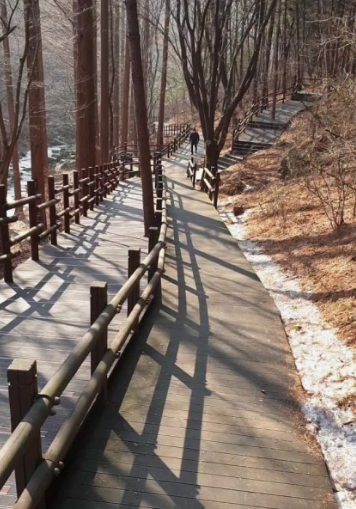 '피톤치드' 걷기좋은 휴양림 BEST 8곳