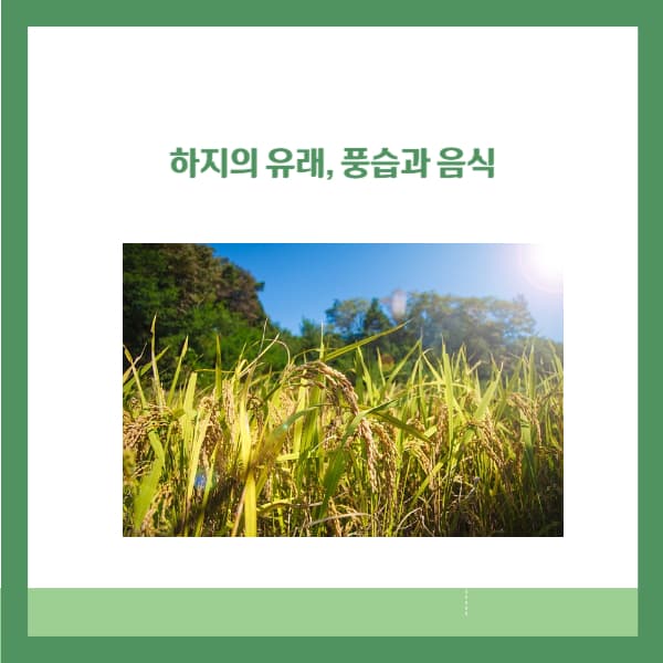 하지의유래