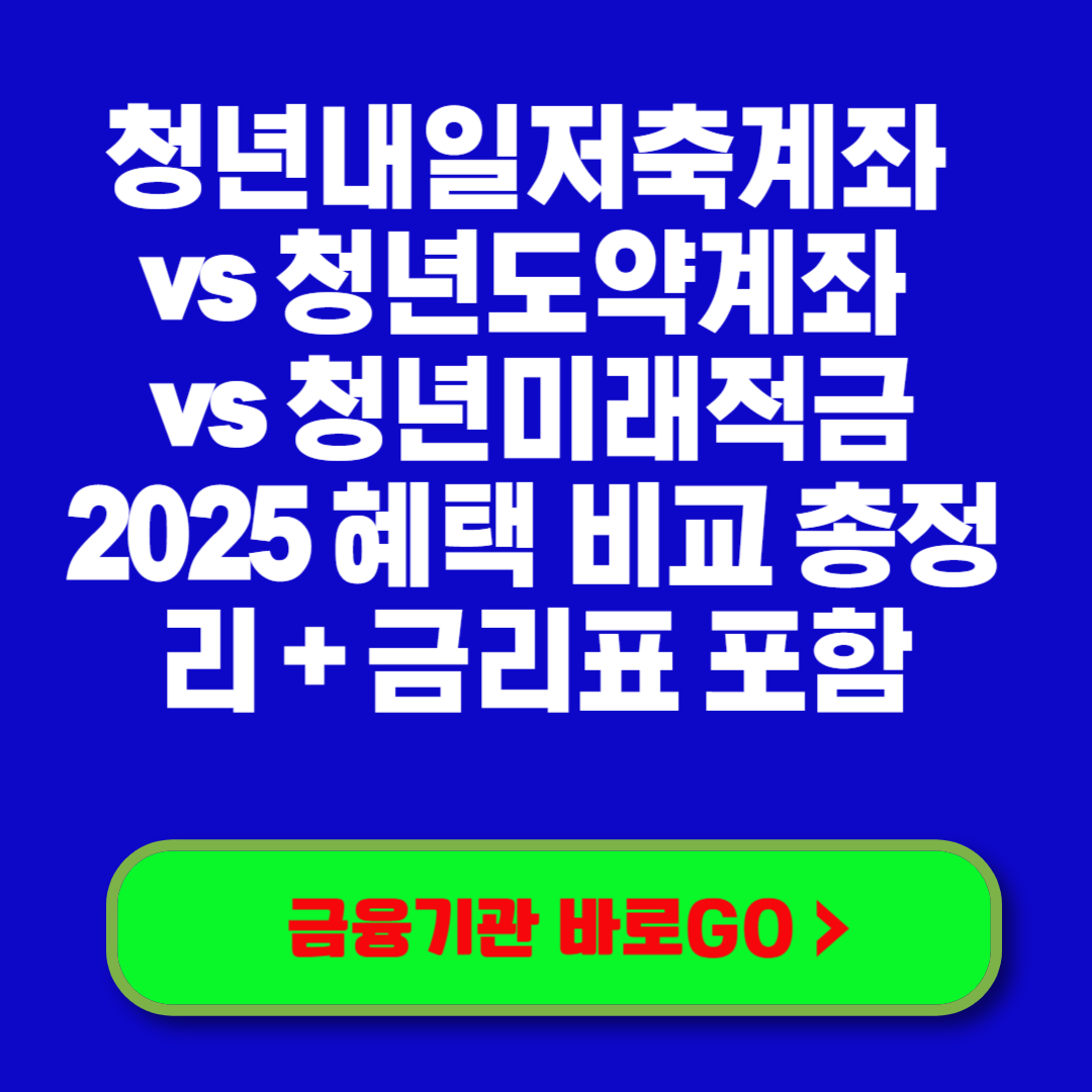 청년내일저축계좌 vs 청년도약계좌 vs 청년미래적금 2025 혜택 비교 총정리 + 금리표 포함