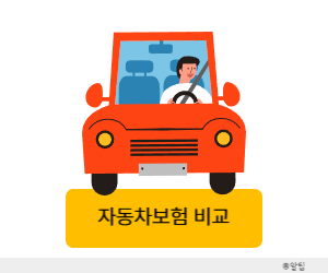 자동차보험 비교