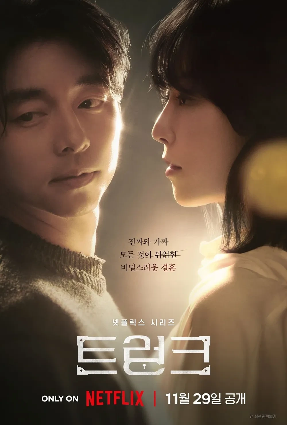 넷플릭스 트렁크