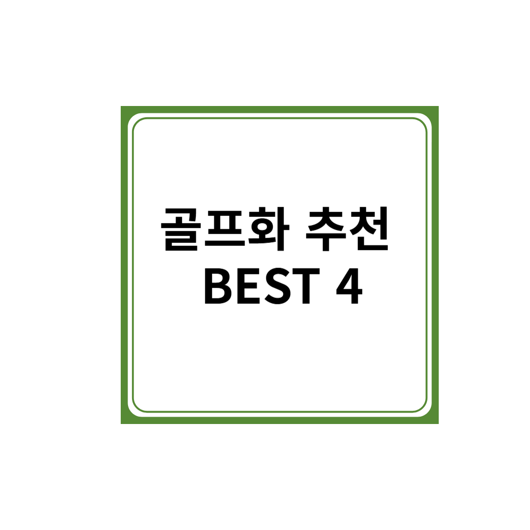 2025년 최신! 초보 골퍼 강력 추천 초보자 골프화 BEST 4