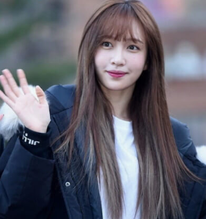 EXID-하니