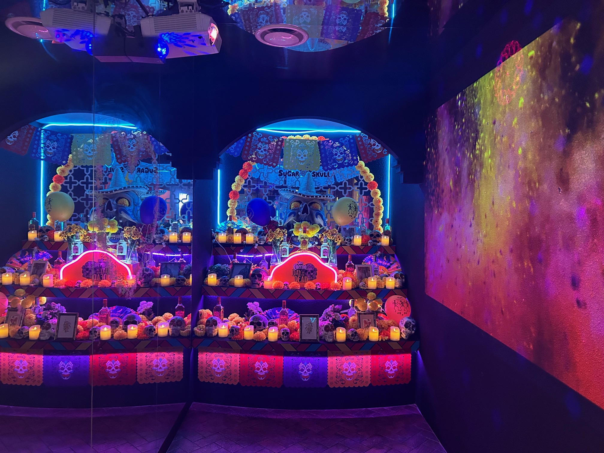 슈가스컬 매장안