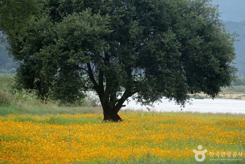 합천 가볼만한곳 베스트 10