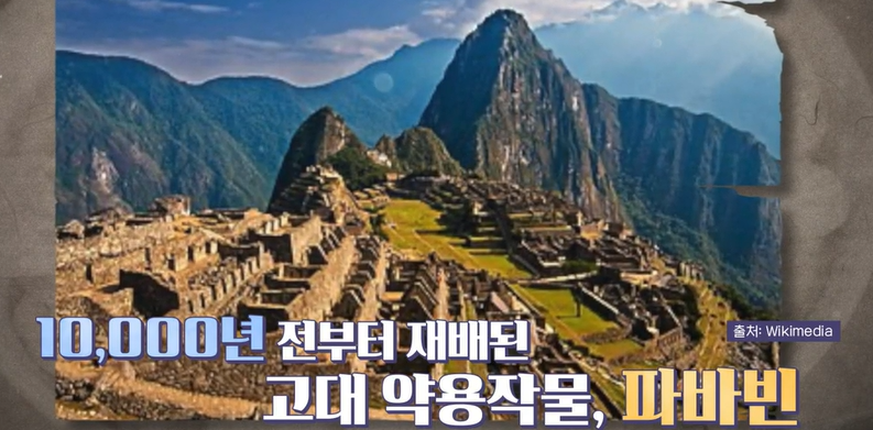 파바빈이란