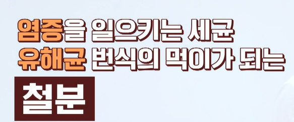 락토페린 효능