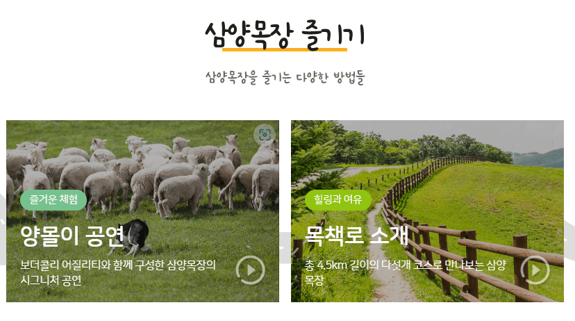 대관령 삼양목장