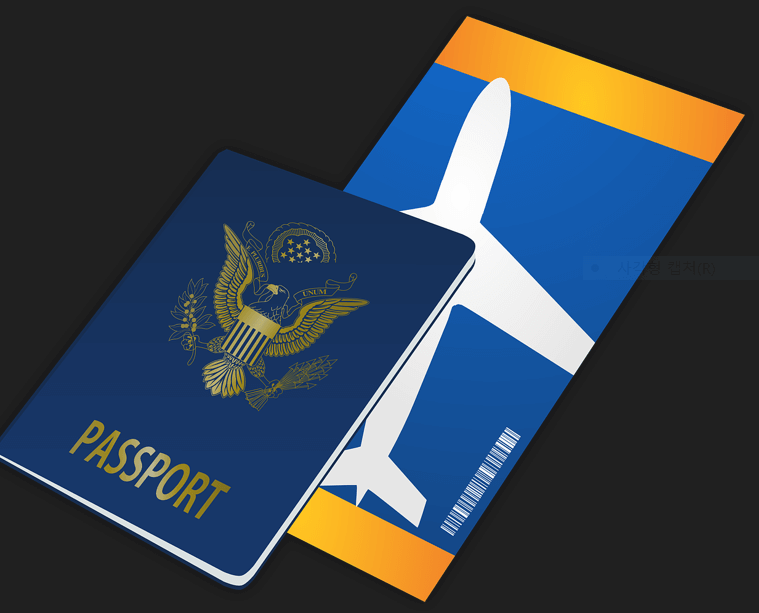 미성년자 여권재발급 신청방법(온라인 신청하기)