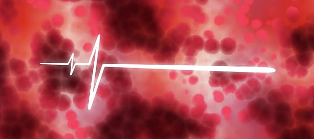 혈액순환 개선제 효과 4