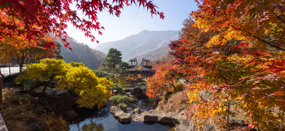 화담숲 예약 모노레일 단풍시즌