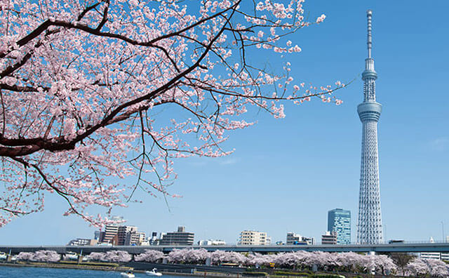 도쿄 스카이트리