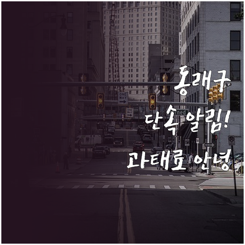 동래구 주정차 단속 알림 서비스 신청..