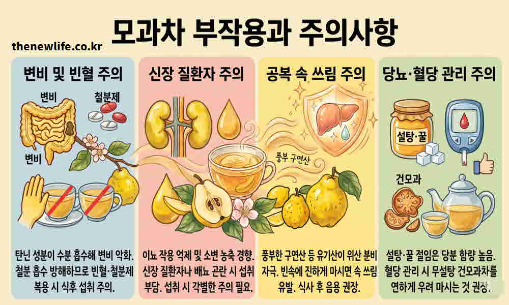 모과차 효능 부작용