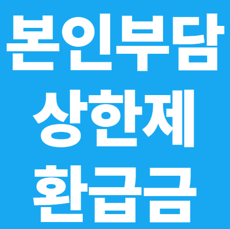 본인부담상한제 환급금 조회 방법 ❘ 내가 받을 돈 있는지 1분 확인