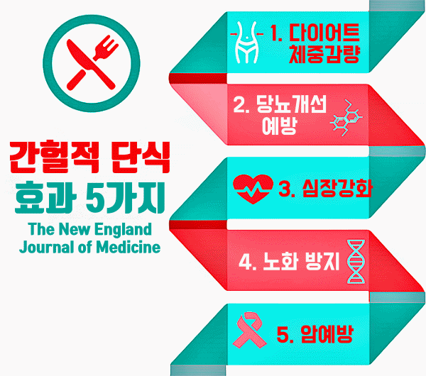 간헐적 단식 식단표 필수 식욕억제 음식,팁줌