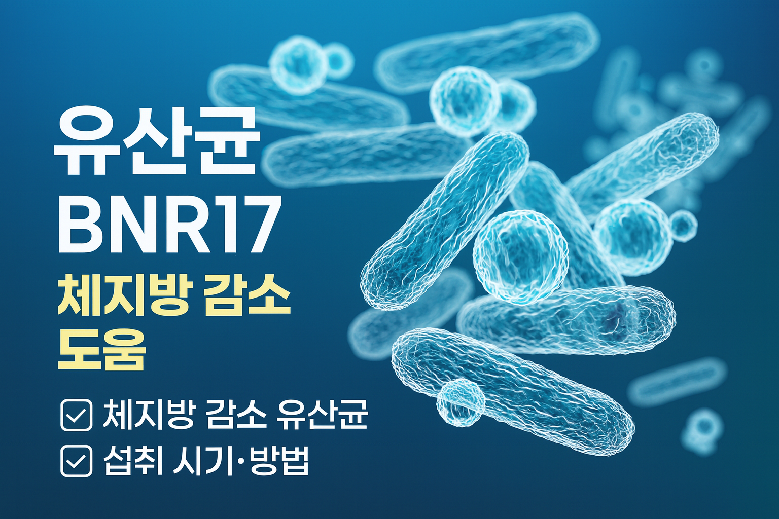 유산균 BNR17 효능부터 섭취 방법