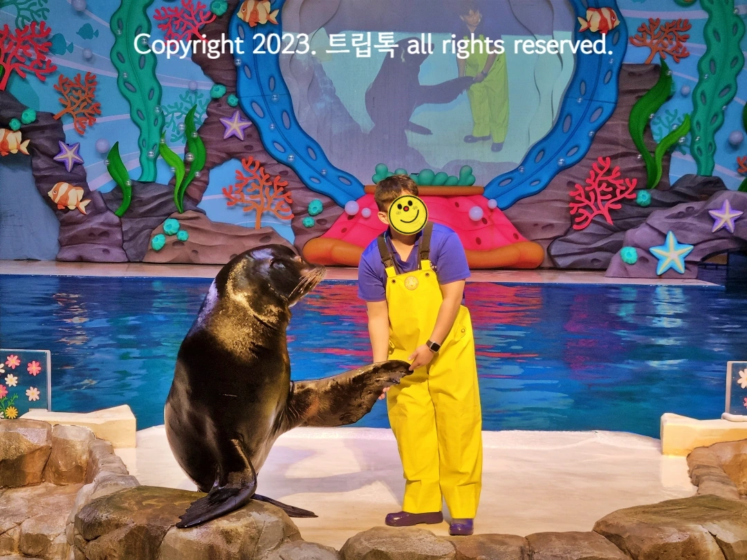 오션아레나 공연장 무대에서 노란옷을 입은 아쿠아리스트가 바다사라의 손을 잡고 있다