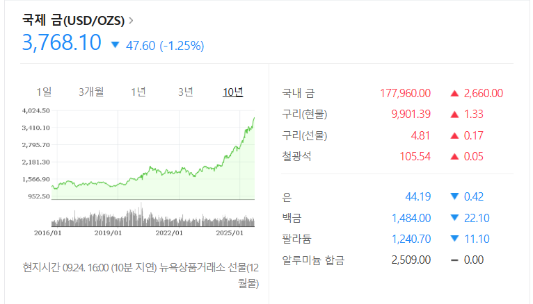 금시세 10년 후 금시세 전망