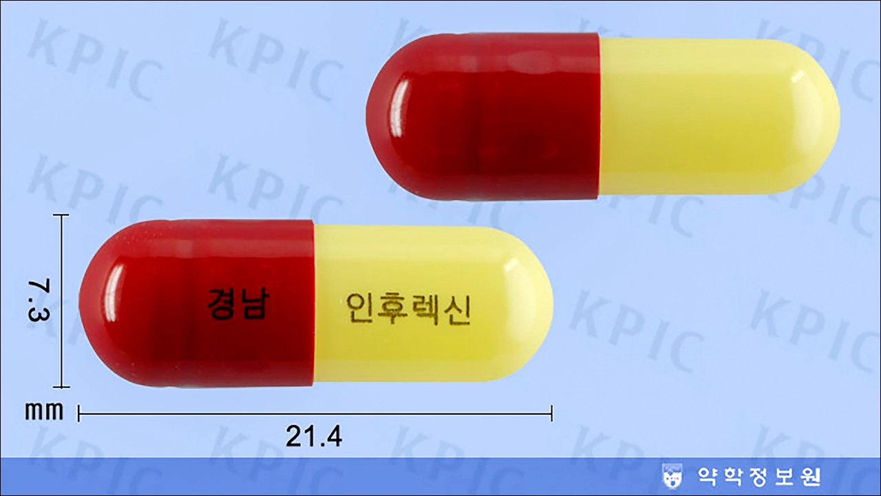 인후렉신 캡슐 가격 은교산 목감기약 인후통 목구멍 통증 목마름 기침 두통