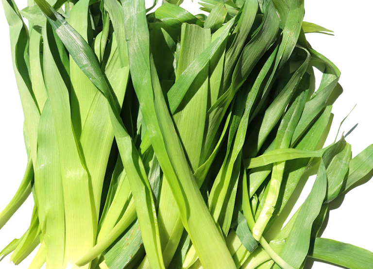 원추리 나물 효능, 부작용과 요리법