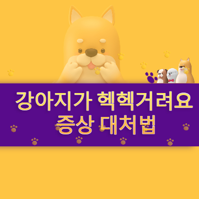 강아지 헥헥거림