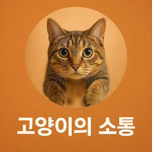 고양이 이미지의 썸네일