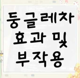 둥글레차 효과 건강에 좋은 차 효능 정리_2