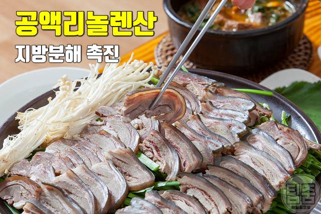 흑염소 효능 부작용 염소탕 효능 공액리놀렌산 다이어트