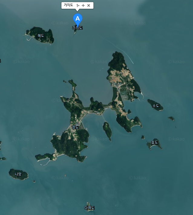 장도 위의 가지도