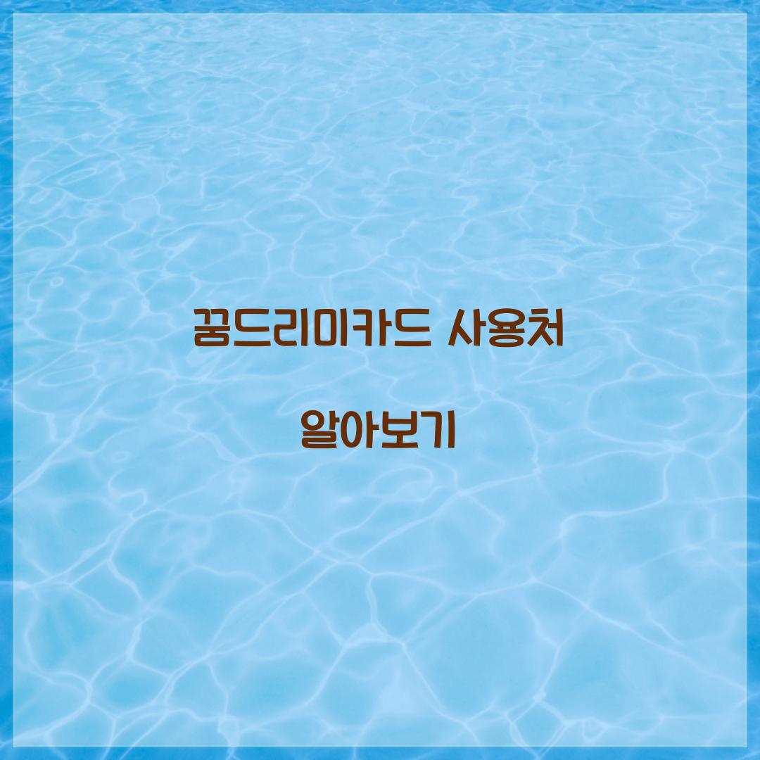 꿈드리미카드 사용처
