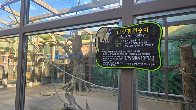 순천만국가정원 어린이 동물원 서문 순천여행 24년 11월 사진