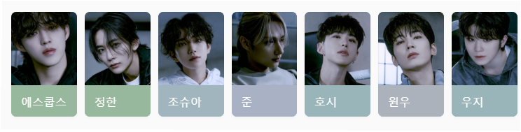 세븐틴 손오공