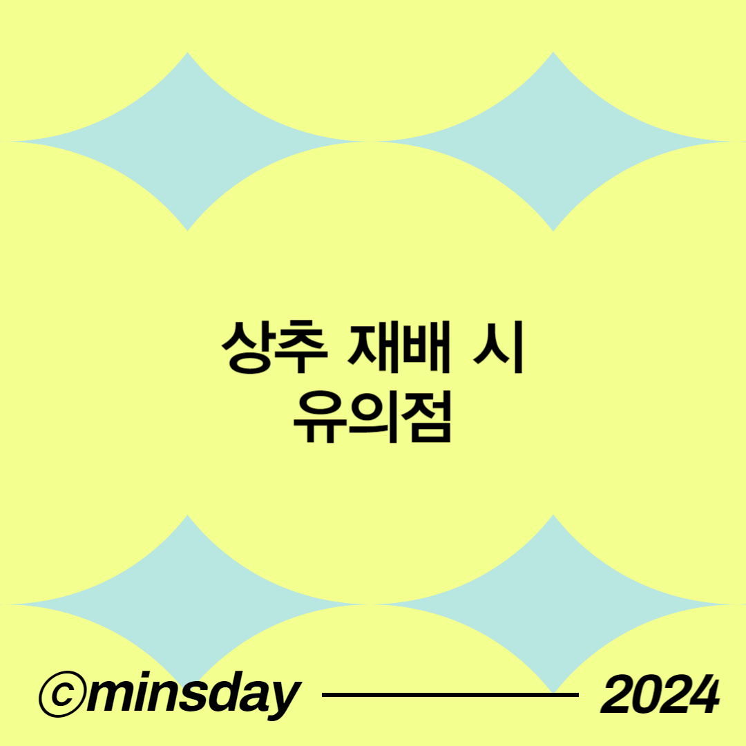 상추키우기