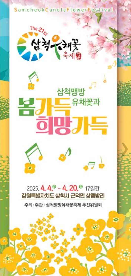 삼척 맹방 유채꽃축제