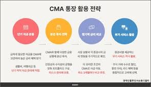 cma 금리비교