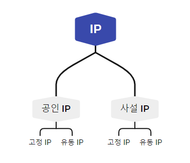 IP 주소 개념 (공인, 사설, 고정, 유동 IP) 구조화로 이해하기
