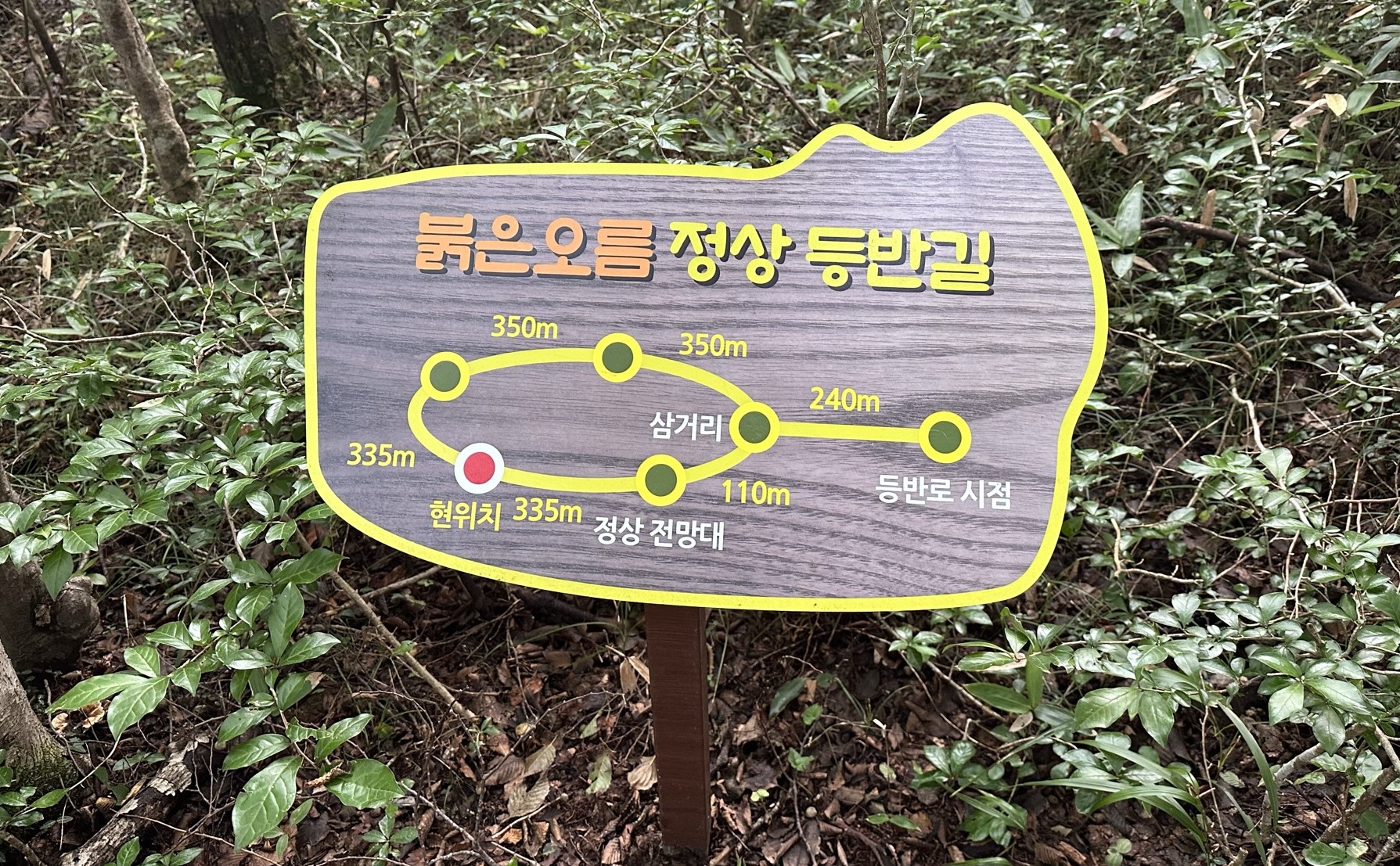 오름 안내도
