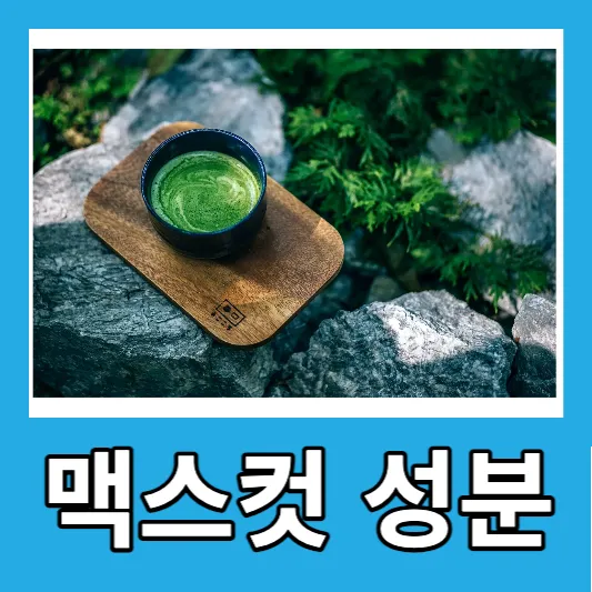 맥스컷 버닝의 주요 성분 및 효능