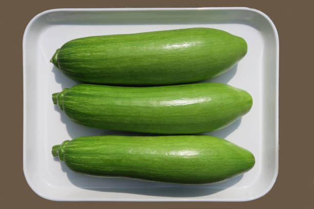 미래형 스마트팜: AI와 로봇이 운영하는 수경재배 시스템