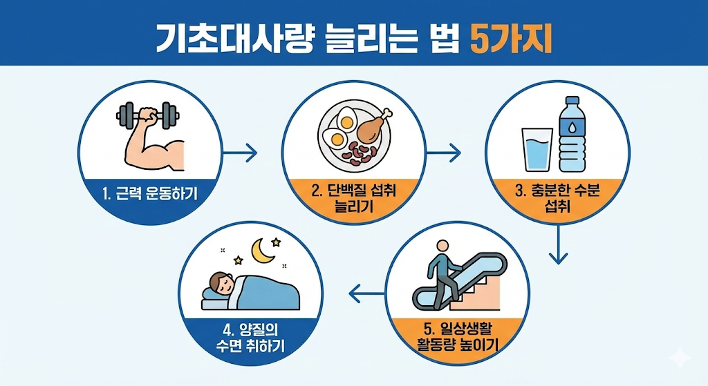 기초대사량 늘리는 법 5가지