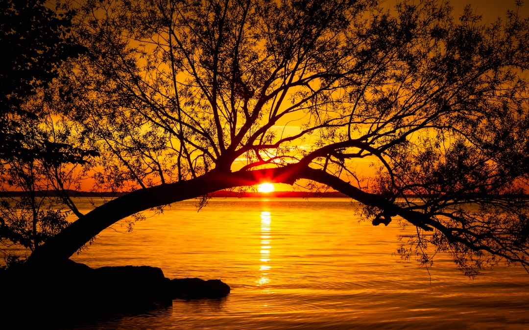Evening.