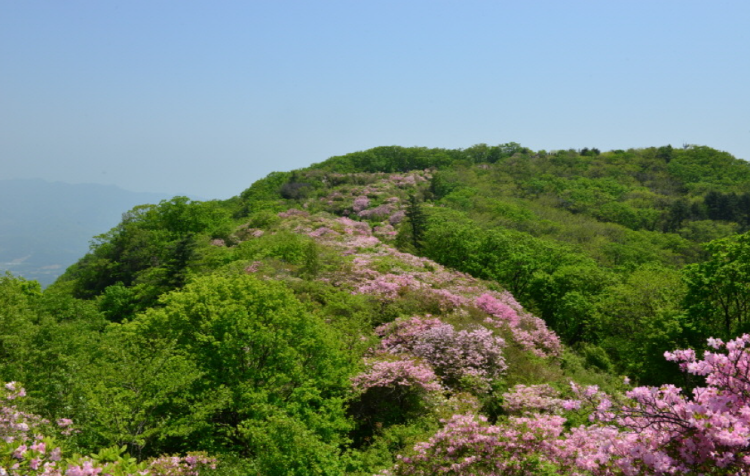 축령산 등산코스