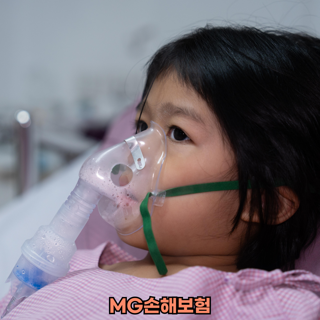 mg손해보험청구