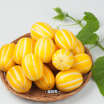 참외껍질 음식물쓰레기 인가요