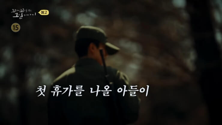 허일병 사망 사건 미국 전문가 및 진상조사단 의견