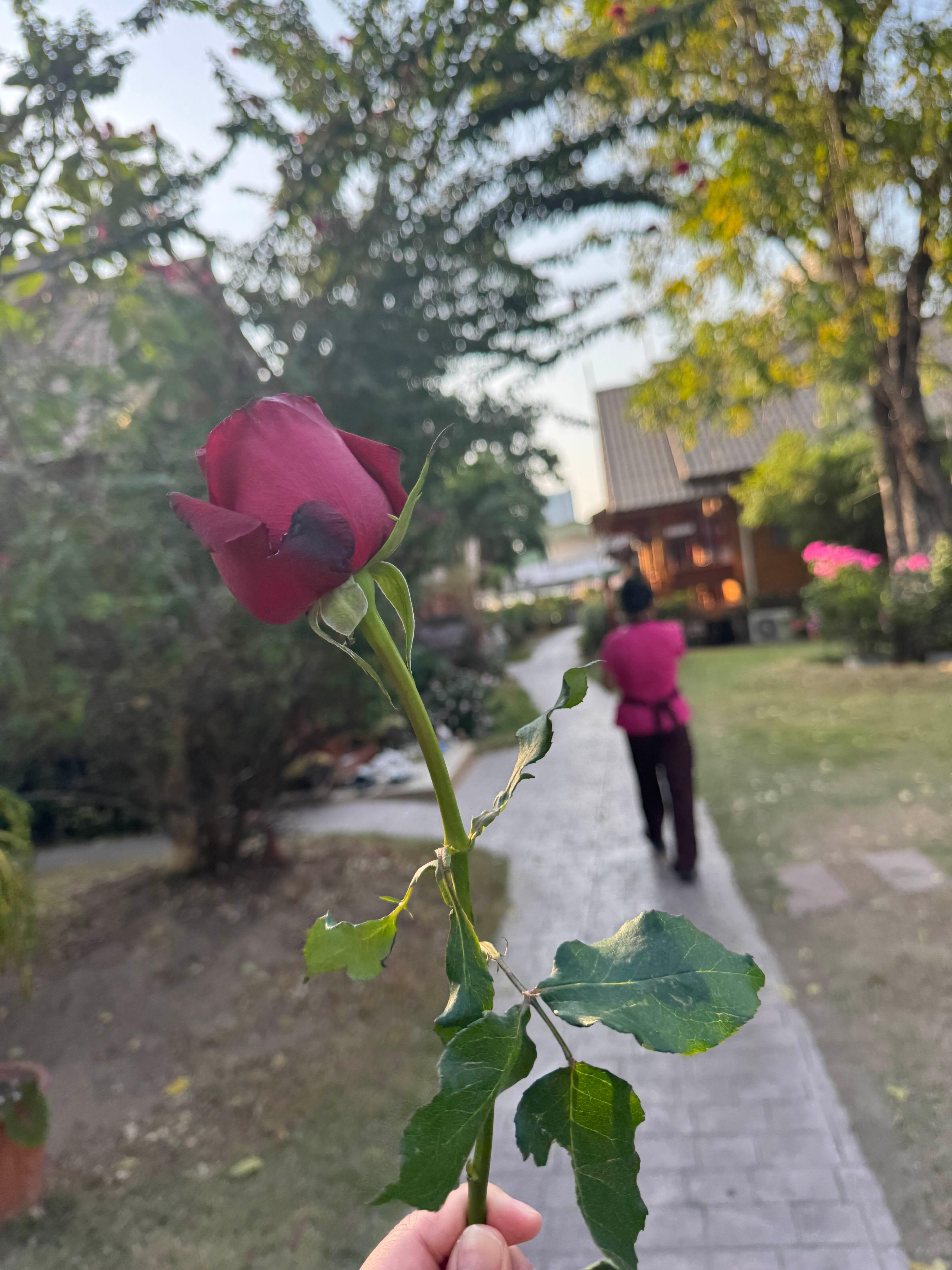 파타야 고급 마사지 추천 그레이스스파 마사지